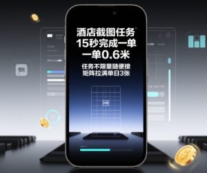 酒店截图任务，15秒完成一单，一单0.6米，任务不限量随便接，矩阵拉满单日3张【揭秘】-一号资源库