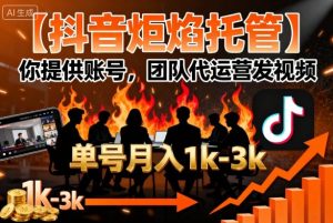 【抖音炬焰托管】你提供账号，团队代运营发视频，单号月入1k+【揭秘】-一号资源库