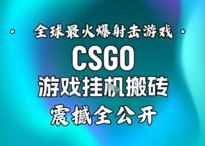 【年底大揭秘】基于全球最火爆的射击CSGO游戏挂G搬砖,日入5张+,震撼公开-一号资源库