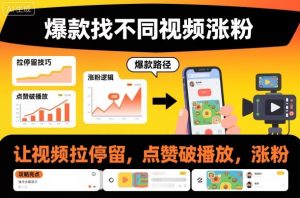 爆款找不同视频涨粉,让视频拉停留,实现点赞,破播放,涨粉-一号资源库