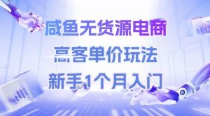 咸鱼无货源电商，高客单价玩法，新手1个月入门-一号资源库