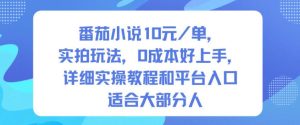 番茄小说10米每单，实拍玩法，0成本好上手，详细实操教程和平台入口适合大部分人-一号资源库