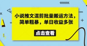 小说推文混剪批量搬运方法，简单粗暴，单日收益多张-一号资源库