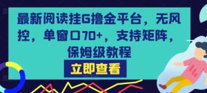 最新阅读挂G撸金平台，无风控，单窗口70+，支持矩阵，保姆级教程【揭秘】-一号资源库