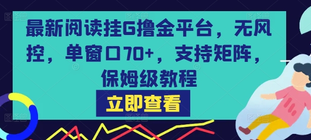 最新阅读挂G撸金平台，无风控，单窗口70+，支持矩阵，保姆级教程【揭秘】-一号资源库