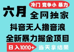 2025年6月高爆抖音无人直播最新撸音浪掘金项目，无脑日入1k+，低门槛小白可做，可矩阵放大【揭秘】-一号资源库