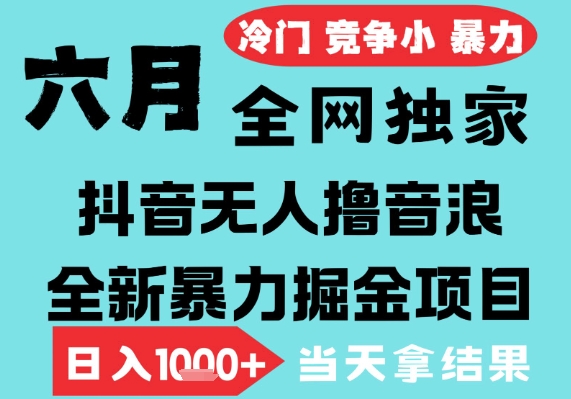 2025年6月高爆抖音无人直播最新撸音浪掘金项目，无脑日入1k+，低门槛小白可做，可矩阵放大【揭秘】-一号资源库