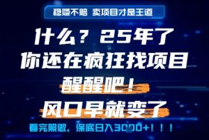 什么？25年你还在疯狂找项目做，醒醒吧，看完这些你全都懂了！【揭秘】-一号资源库