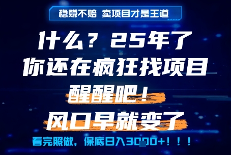 什么？25年你还在疯狂找项目做，醒醒吧，看完这些你全都懂了！【揭秘】-一号资源库