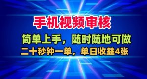 手机视频审核,随时随地可做,二十秒钟一单,单日收益4张+【揭秘】-一号资源库