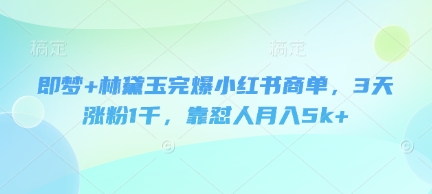 即梦+林黛玉完爆小红书商单，3天涨粉1千，靠怼人月入5k+-一号资源库