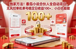 独家方法！番茄小说合伙人全自动挂G项目，无风控单机单号稳定日收益100+，小白也能做【揭秘】-一号资源库