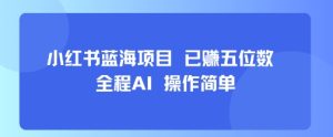 小红书蓝海项目，全程AI，操作简单，已挣五位数-一号资源库