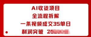 AI收徒项目全流程拆解一条视频成交35单日利润突破1k+-一号资源库
