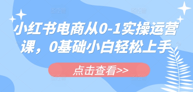 小红书电商从0-1实操运营课，0基础小白轻松上手-一号资源库