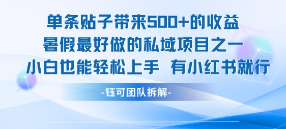单条贴子带来5张的收益，暑假最好做的私域项目之一，小白也能轻松上手，有小红书就行-一号资源库
