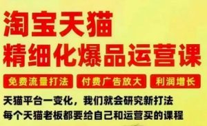 淘宝天猫精细化爆品运营课,免费流量打法-付费广告放大-利润增长-三大核心痛点,一次全部解决-一号资源库