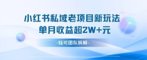 小红书私域项目新玩法,单月变现过W+-一号资源库