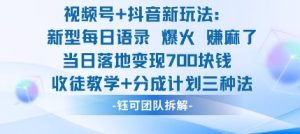 视频号加抖音新玩法：爆火新型每日语录，收徒教学加分成计划，三种变现玩法，当日变现7张-一号资源库
