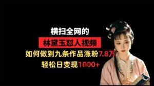 横扫全网的林黛玉怼人视频，如何做到九条作品涨粉7.8万，轻松日变现1k-一号资源库