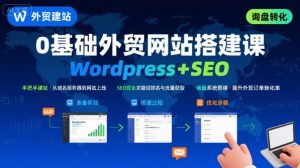 WordPress外贸建站+SEO优化课程,手把手教你从0到1搭建可获得询盘的外贸网站-一号资源库