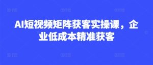 AI短视频矩阵获客实操课,企业低成本精准获客-一号资源库