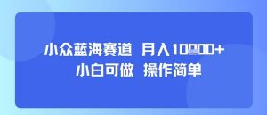 小众蓝海赛道,小白可做,操作简单,每天30分钟,月入1W+-一号资源库