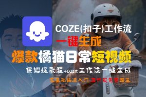 COZE(扣子)工作流一键生成爆款橘猫日常短视频,保姆级教程,零基础快速入门-一号资源库