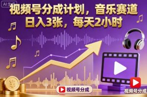 视频号分成计划，音乐赛道，日入3张，每天2小时-一号资源库