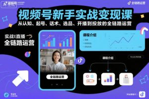 视频号新手实战变现课，从认知、起号、话术、选品、开播到投放的全链路运营-一号资源库