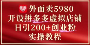 外面卖5980开设拼多多虚拟店铺：单日引流200+创业付费粉实战教程-一号资源库
