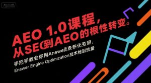 AEO 1.0 课程，从SEO到AE0的基命性转变，手把手教会你用AnswerEngineOptimization技术抢回流量（更新）-一号资源库