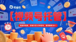 【视频号托管 】我提供视频,你每天花5分钟发布,最高躺挣2W+【揭秘】-一号资源库