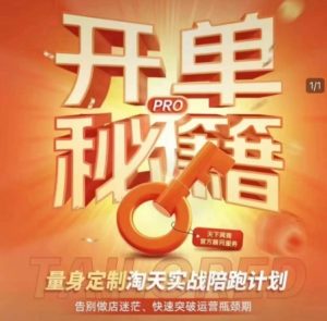 淘宝开单秘籍PRO，量身定制淘天实战陪跑计划，告别做店迷茫、快速突破运营瓶颈期（更新）-一号资源库