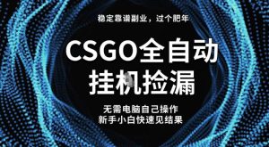 【稳定副业】全球最热门游戏CSGO全自动捡漏,最新玩法,新手小白日入5张+【揭秘】-一号资源库