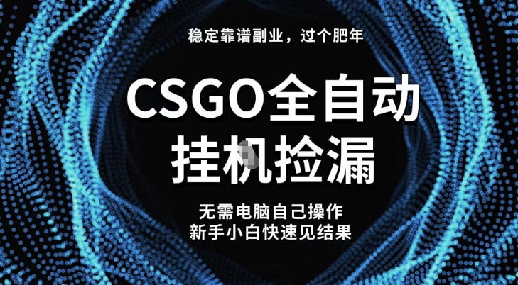 【稳定副业】全球最热门游戏CSGO全自动捡漏，最新玩法，新手小白日入5张+【揭秘】-一号资源库