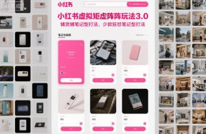 小红书虚拟矩阵玩法3.0，铺货铺笔记型打法，少款狂怼笔记型打法-一号资源库