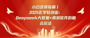 小白逆袭指南，2025玄学轻创业：Deepseek大数据+周易算法的融合玩法-一号资源库