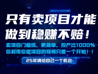 只有卖项目才能做到稳挣不赔，门槛低，更简单，你也可以年入百个W【揭秘】-一号资源库