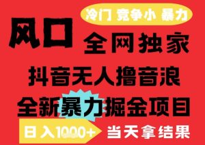 25年6月高爆抖音无人直播最新撸音浪掘金项目，解放双手小白可做，无脑日入1k+，门槛低【揭秘】-一号资源库