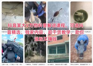 抖音某大V万物科普解说课程，可进抖音精选，独家内容，超干货教学，助你涨粉又賺钱-一号资源库