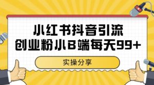 小红书抖音创业粉，小B端粉自热，日引99+的一个玩法【揭秘】-一号资源库