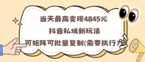 当天最高变现1k+，抖音私域新玩法，可矩阵可批量复制-一号资源库