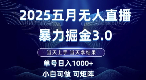 2025五月无人直播暴力掘金3.0，当天上手，当天拿结果，单号日入1k+小白可做可矩阵【揭秘】-一号资源库