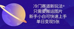 冷门赛道新玩法，只需要搬运图片，新手小白可快速上手，单日变现多张-一号资源库