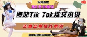 海外tiktok小说推文暴力项目，高停留率，高转化率，上手后一天搞顿饭钱不是问题-一号资源库