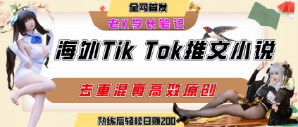 海外tiktok小说推文暴力项目，高停留率，高转化率，上手后一天搞顿饭钱不是问题-一号资源库