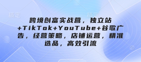 跨境创富实战营，独立站+TikTok+YouTube+谷歌广告，经营策略，店铺运营，精准选品，高效引流-一号资源库