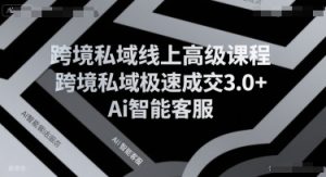 跨境私域线上高级课程，跨境私域极速成交3.0+Ai智能客服-一号资源库
