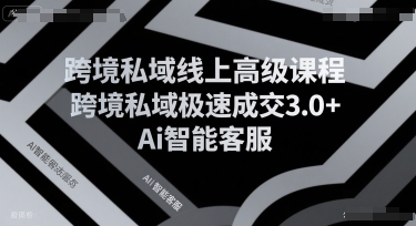 跨境私域线上高级课程，跨境私域极速成交3.0+Ai智能客服-一号资源库